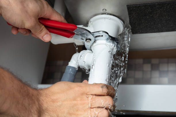 Best Water damage contractors near me  in St Charles, IL