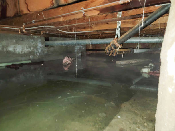 Best Water damage restoration near me  in St Charles, IL