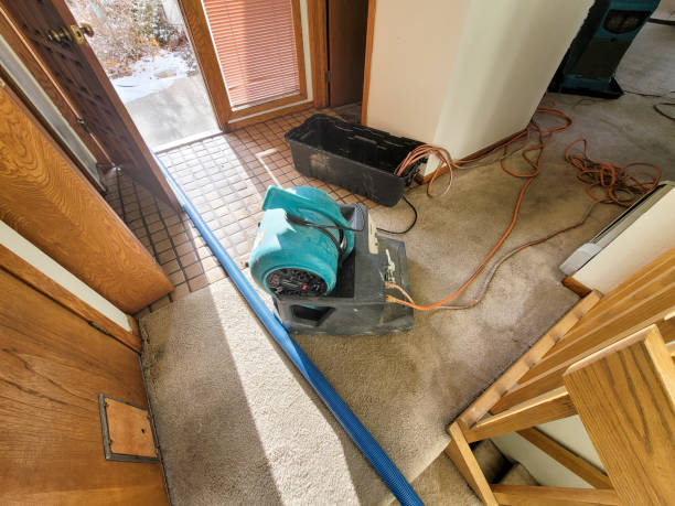 Best Fire Damage Restoration  in St Charles, IL