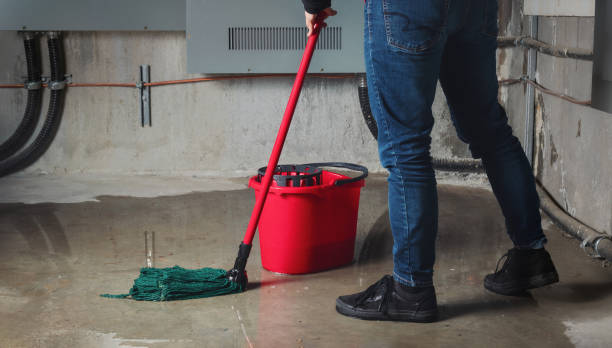 Best Water damage restoration experts  in St Charles, IL