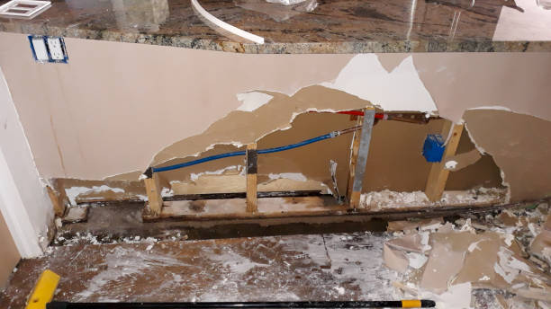 Water damage restoration mold remediation in IL