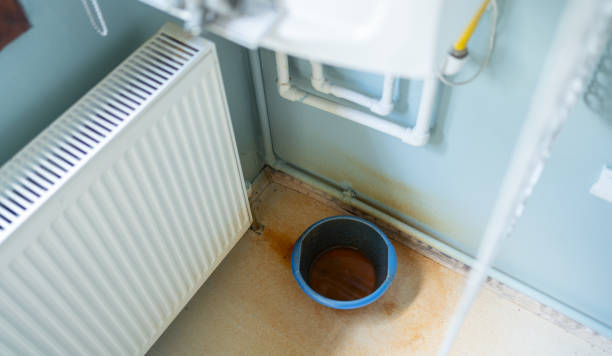 Best Water damage restoration mold remediation  in St Charles, IL