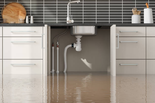 Best Professional water damage repair  in St Charles, IL