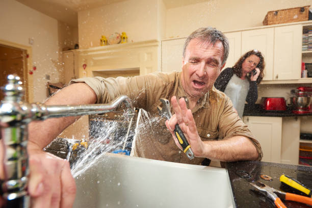 Best Mold removal after water damage  in St Charles, IL